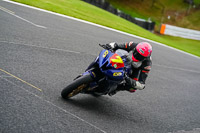 anglesey;brands-hatch;cadwell-park;croft;donington-park;enduro-digital-images;event-digital-images;eventdigitalimages;mallory;no-limits;oulton-park;peter-wileman-photography;racing-digital-images;silverstone;snetterton;trackday-digital-images;trackday-photos;vmcc-banbury-run;welsh-2-day-enduro